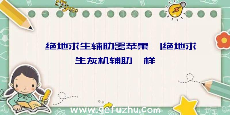 「绝地求生辅助器苹果」|绝地求生灰机辅助咋样